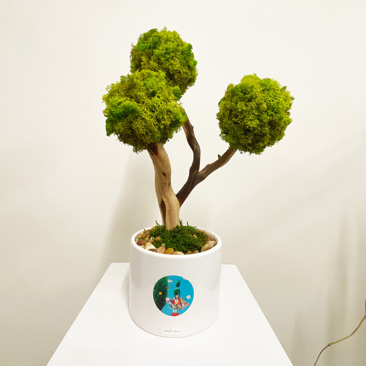 preserved bonsai tree MP-013 | Natural Preserved Moss Bonsai Tree