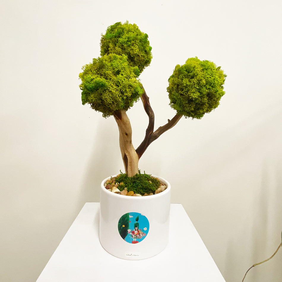MP-013 | Natural Preserved Moss Bonsai Tree | Indoor Home & Office Natural Green Plants Decor