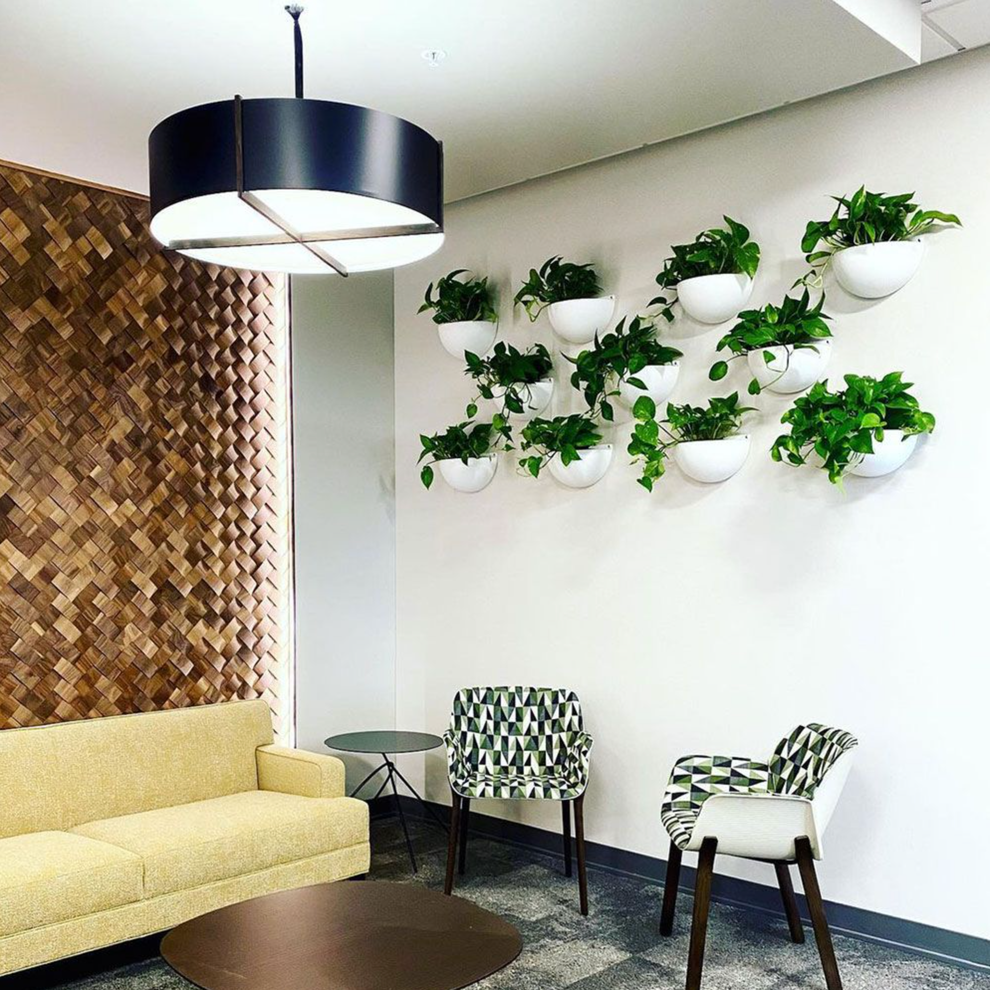 pothos cafe dunnville KP-025 Pothos