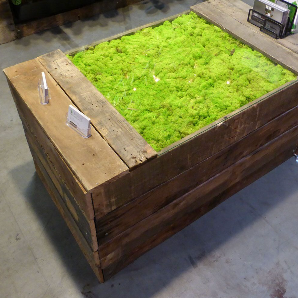 MP-012 | Natural Preserved Moss Table