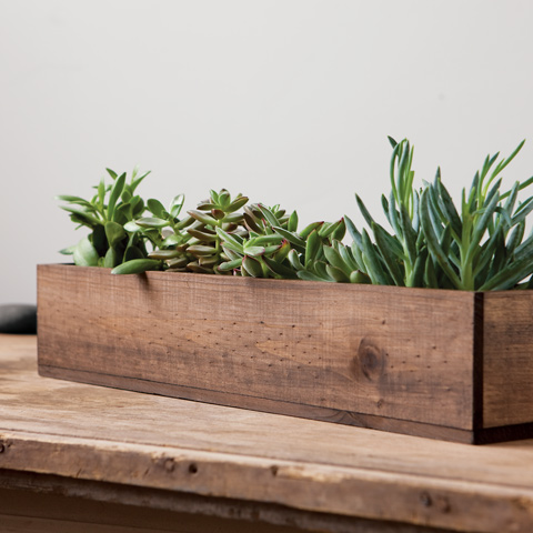 long skinny succulent planter KS-026 Succulent