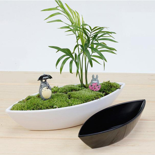 totoro succulent KS-052 Totoro Succulent/Plants