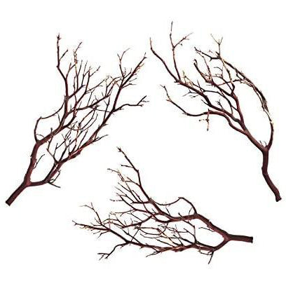 Manzanita