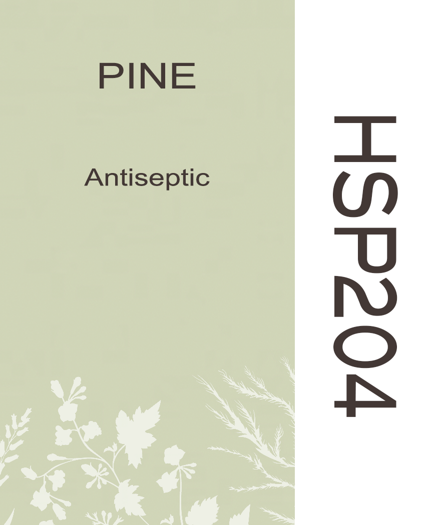 03HSP204 PINE NEEDLE - HERB SOIL POWDER PAINT