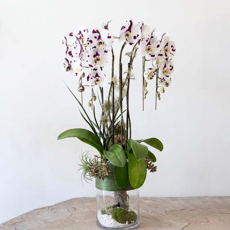 KO-009 | Orchids | Hand-Delivery to Los Angeles Vicinity Only