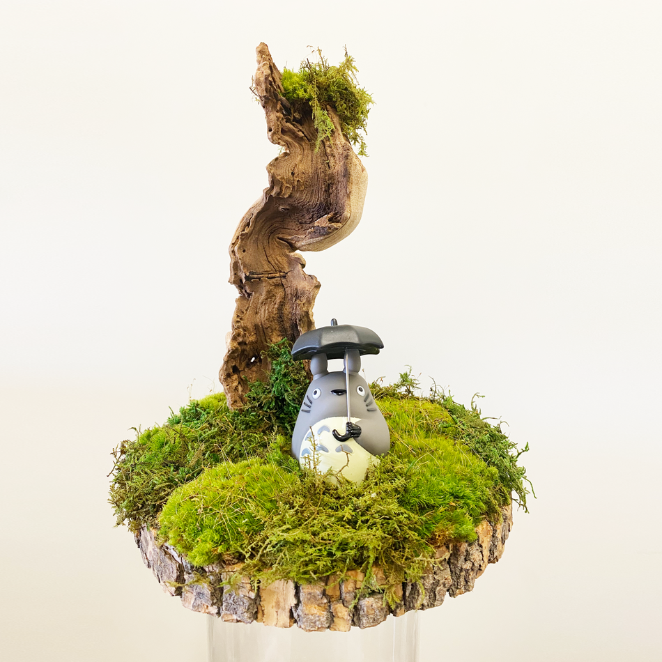 MP-014 | Natural Preserved Moss with Totoro | Indoor Home & Office Natural Green Plants Decor
