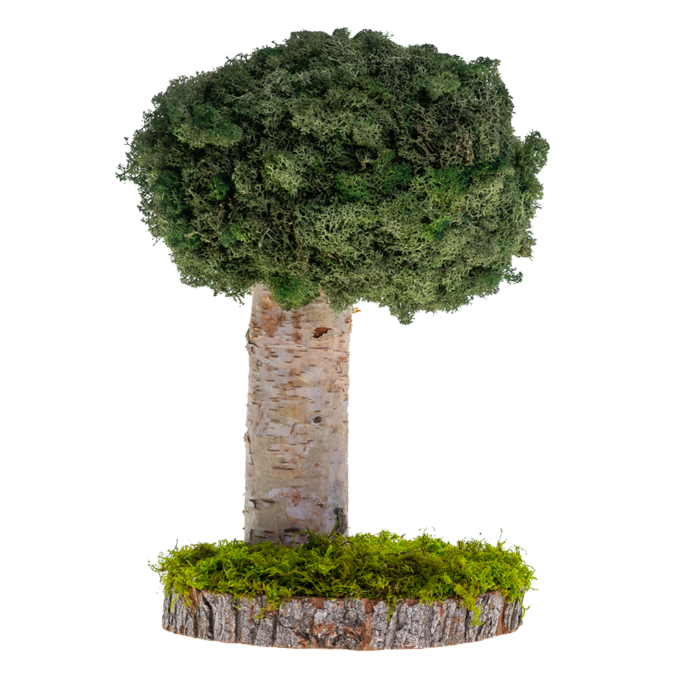 preserved indoor plants MP-008 | Natural Preserved Moss Tree
