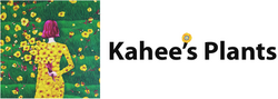 Kahee Plants LA 