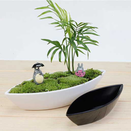 KS-052 Totoro Succulent/Plants | Delivery to Los Angeles Vicinity Only