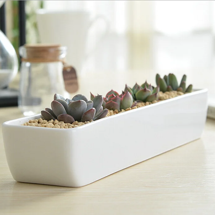 KS-026 Succulent | Delivery to Los Angeles Vicinity Only