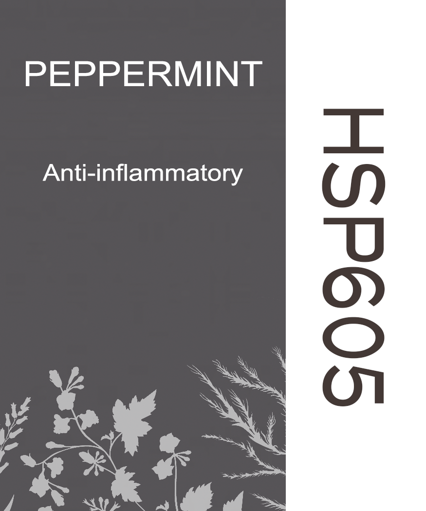 10HSP605 PEPPERMINT - HERB SOIL POWDER PAINT