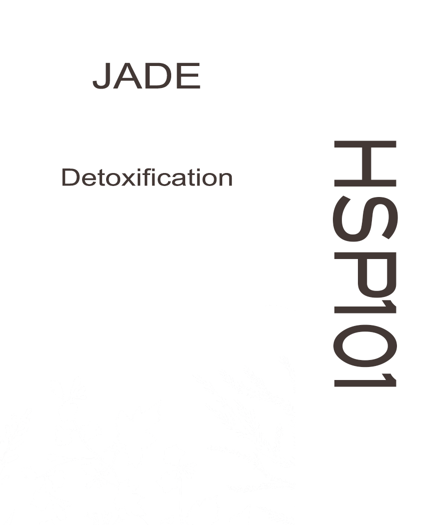 01HSP101 JADE - HERB SOIL POWDER PAINT